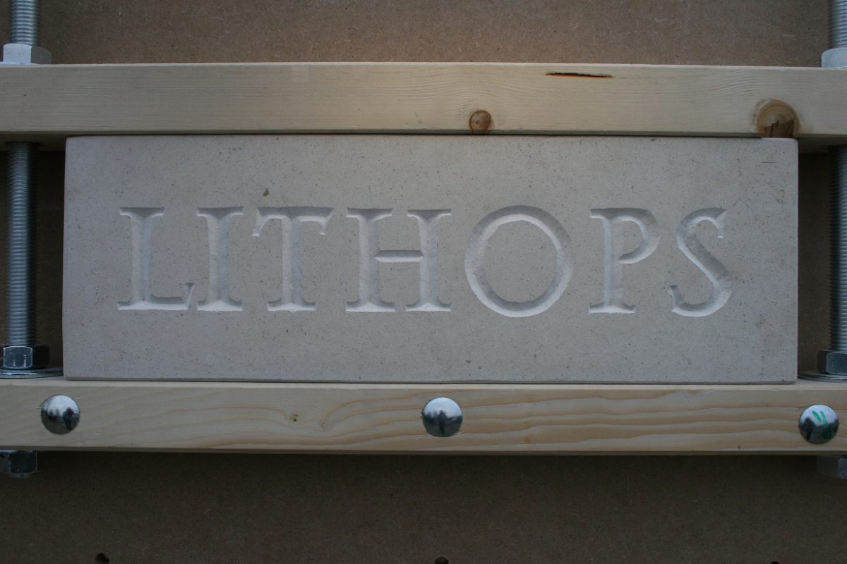 Lithops